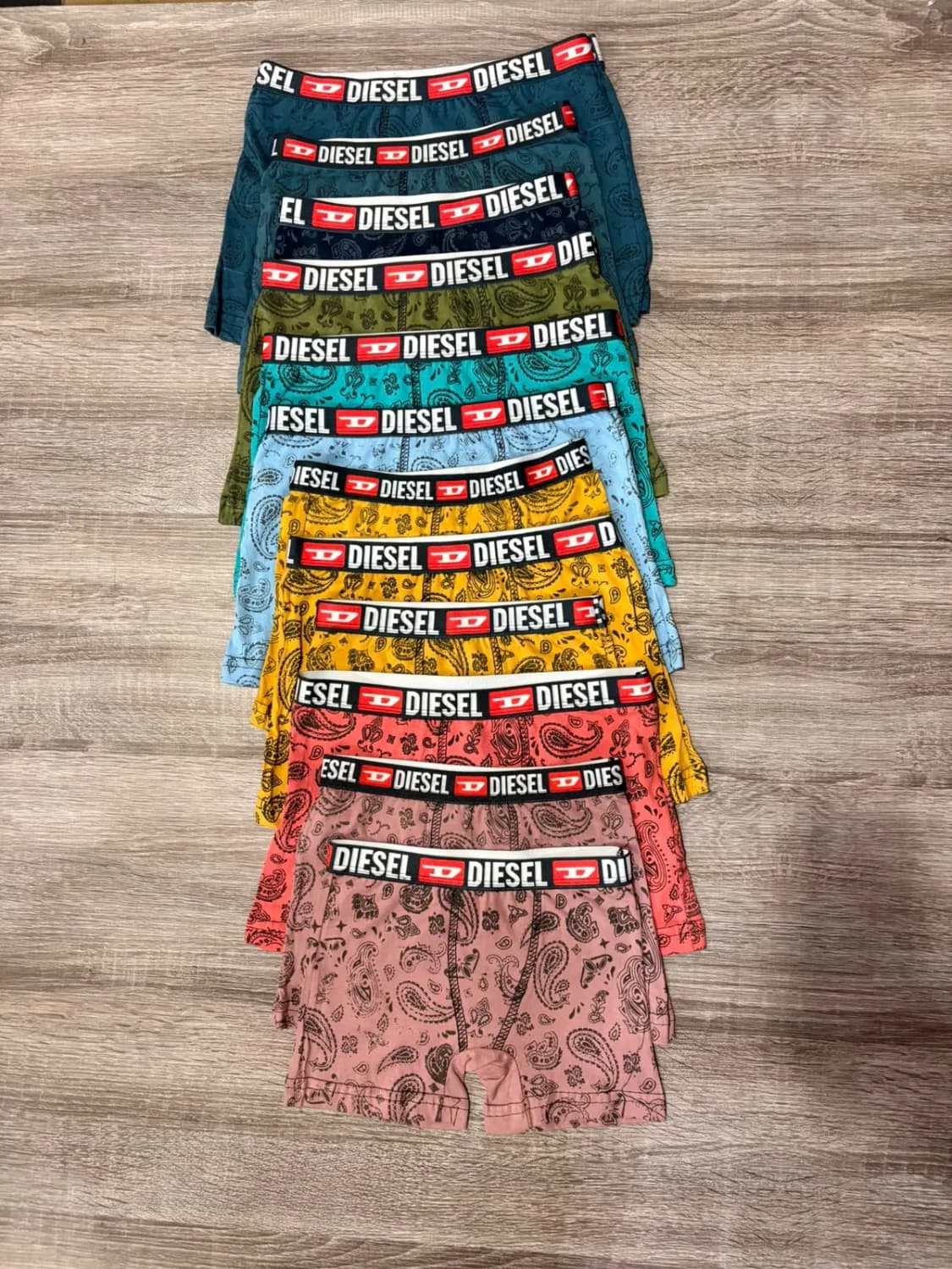 Boxer niño diesel